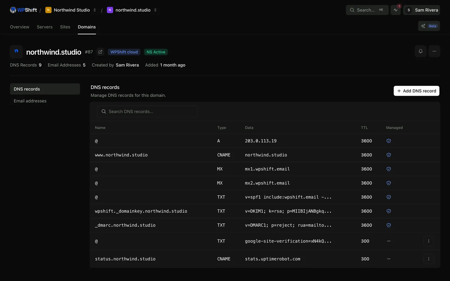 The DNS records for a domain, with managed records marked.