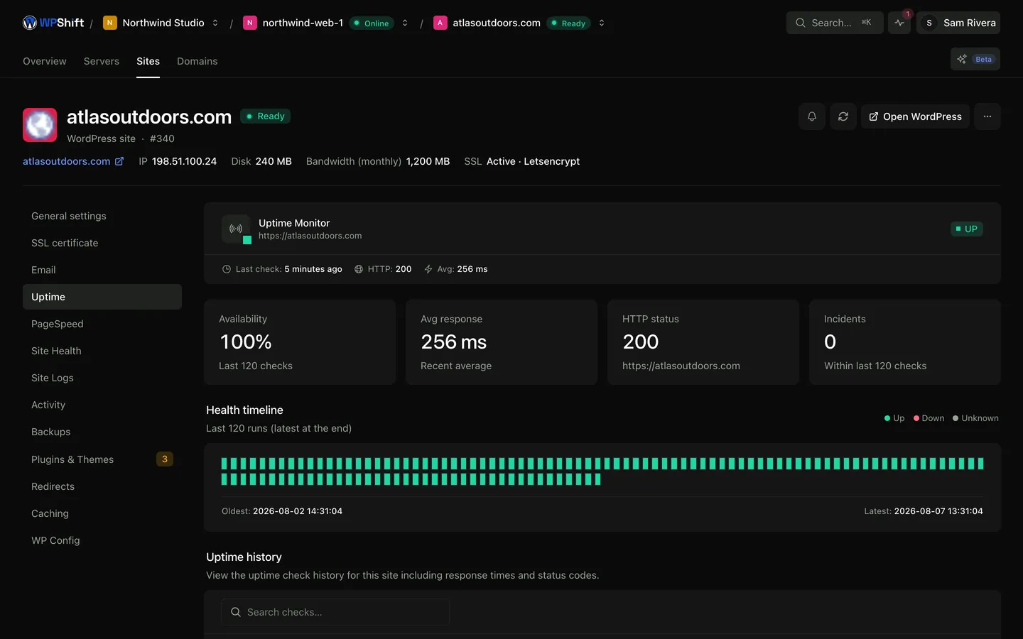 A site's current status, response time and recent checks.